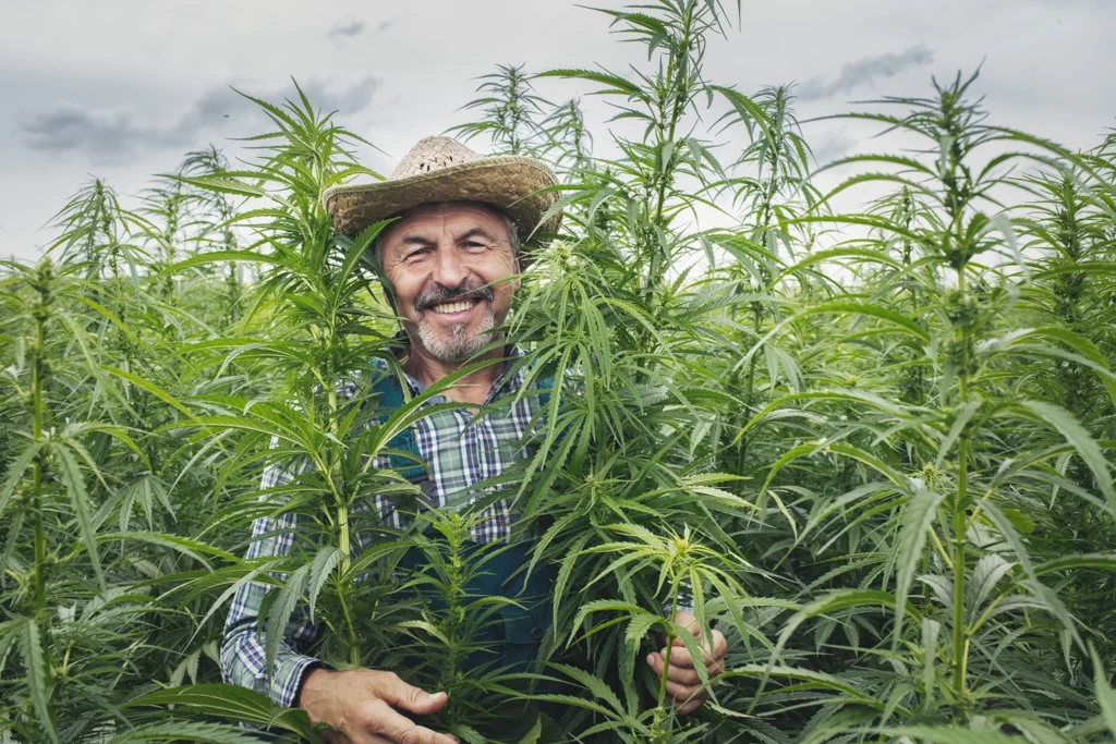 Country-Bank-Man-surrounded-by-plants-in-field